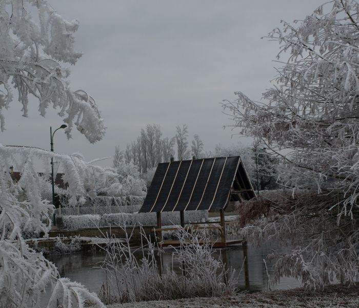 lavoir janvier 2017